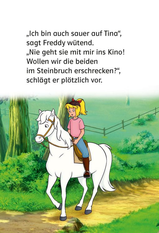 Produktbild: Bibi & Tina: Picknick bei Vollmond
