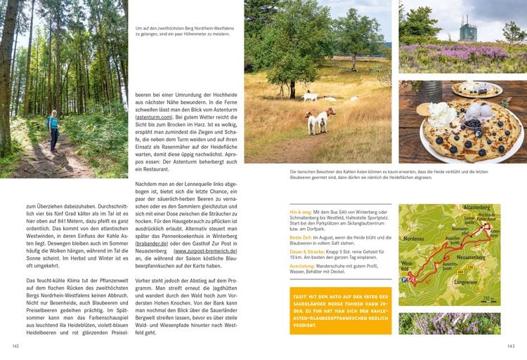 Produktbild: 52 kleine & gro&szlig;e Eskapaden Rothaargebirge und Sauerland