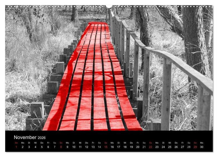 Produktbild: Blickfang in Rot (Wandkalender 2026 DIN A2 quer), CALVENDO Monatskalender
