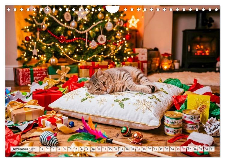 Produktbild: Alles f&uuml;r die Katze - Herrschaft Deluxe mit Charme und Wellness (Wandkalender 2027 DIN A4 quer), CALVENDO Monatskalender