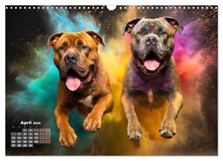 Produktbild: Holi Pulver - Doppelte Action (Wandkalender 2026 DIN A3 quer), CALVENDO Monatskalender