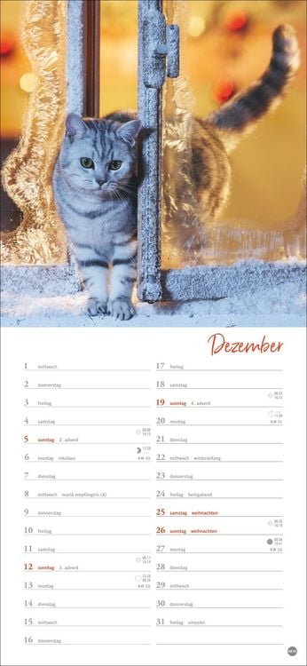 Produktbild: Katzen slim - Auf sanften Pfoten Kalender 2027