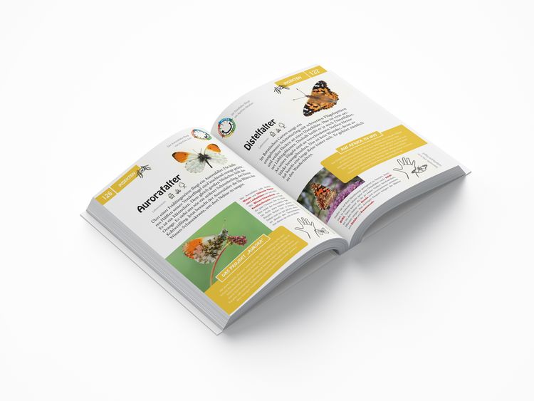 Produktbild: Ahorn, Rotfuchs & Zitronenfalter