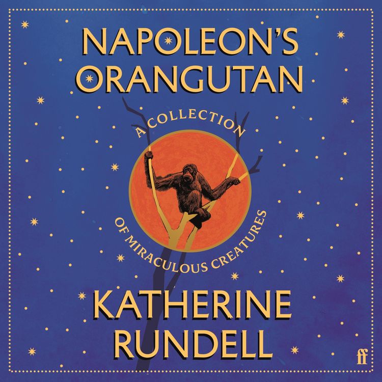 Produktbild: Napoleon's Orangutan