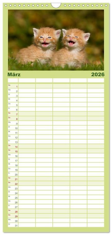 Produktbild: Familienplaner 2026 - L&auml;chelnd durchs Jahr - Katzenkinder -Familienplaner hoch mit 5 Spalten (Wandkalender, 21 x 45 cm) CALVENDO