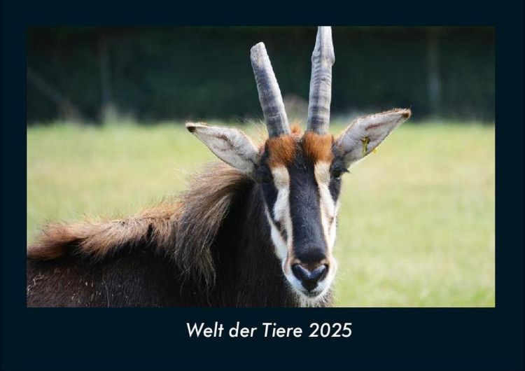 Produktbild: Welt der Tiere 2025 Fotokalender DIN A4