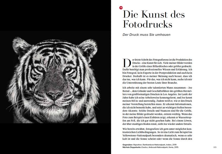 Produktbild: Wie ich Fotos mache