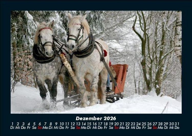 Produktbild: Die Welt der Pferde 2026 Fotokalender DIN A5