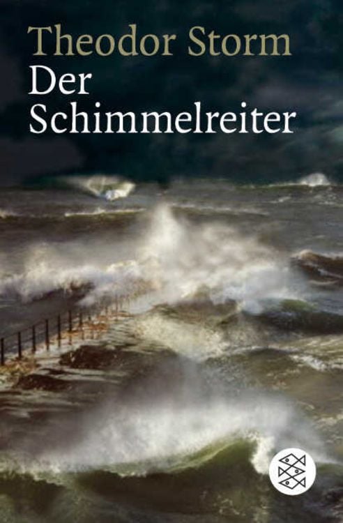 Produktbild: Der Schimmelreiter
