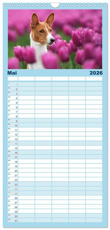 Produktbild: Familienplaner 2026 - Basenji-Sch&ouml;nheiten mit 5 Spalten (Wandkalender, 21 x 45 cm) CALVENDO
