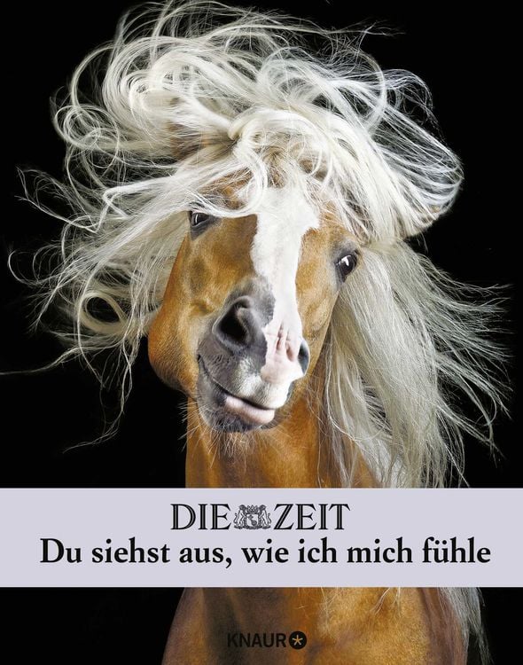 Produktbild: Die Zeit. Du siehst aus, wie ich mich f&uuml;hle
