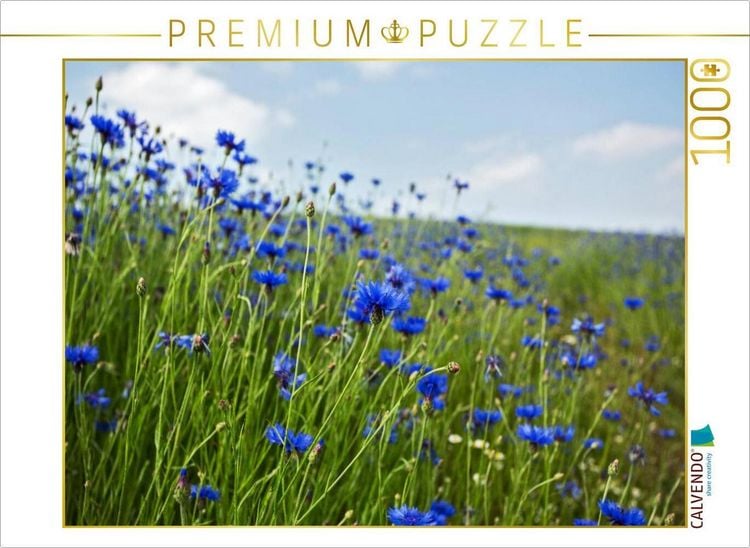 Produktbild: CALVENDO Puzzle Kornblumen - Faszination in Blau | 1000 Teile Lege-Gr&ouml;&szlig;e 64x48cm Foto-Puzzle f&uuml;r gl&uuml;ckliche Stunden