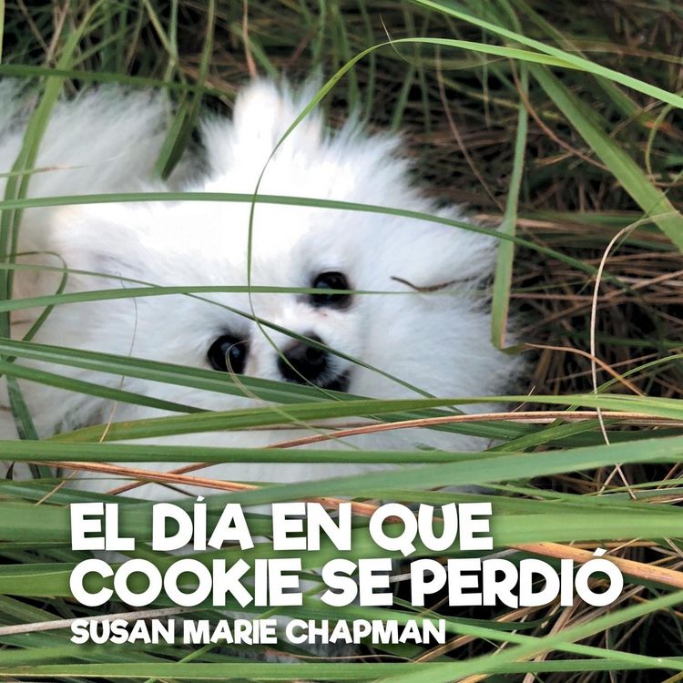 Produktbild: El D&iacute;a En Que Cookie Se Perdi&oacute;