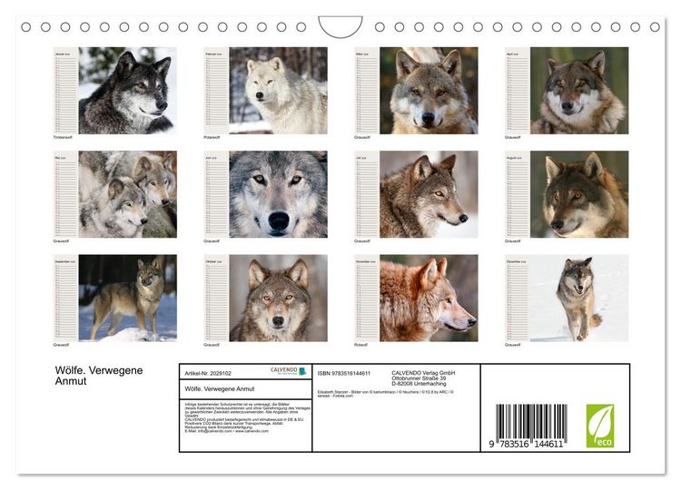 Produktbild: W&ouml;lfe. Verwegene Anmut (Wandkalender 2026 DIN A4 quer), CALVENDO Monatskalender