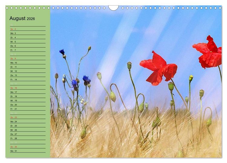 Produktbild: Mohnblumen Tr&auml;ume (Wandkalender 2026 DIN A3 quer), CALVENDO Monatskalender