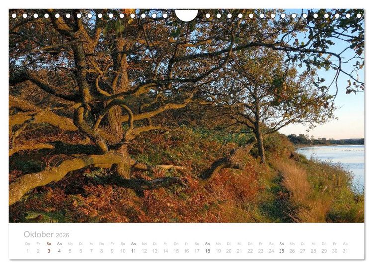 Produktbild: Zauberhafte Schlei (Wandkalender 2026 DIN A4 quer), CALVENDO Monatskalender
