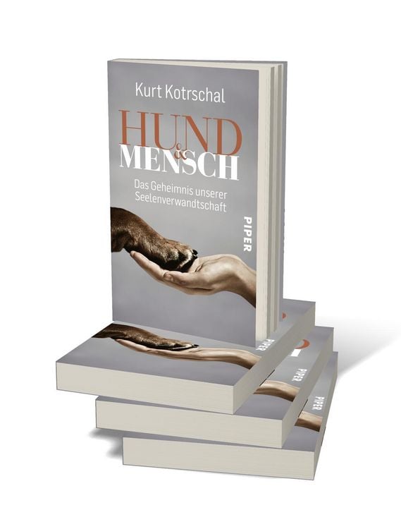 Produktbild: Hund & Mensch