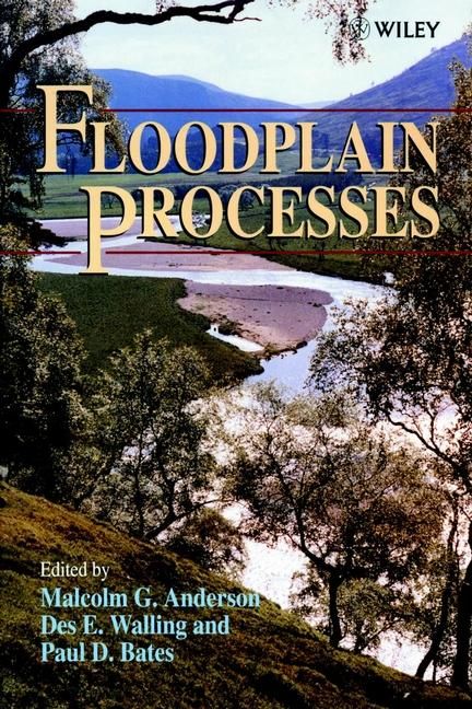 Produktbild: Floodplain Processes