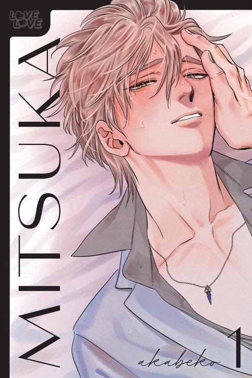 Bild vom Artikel Mitsuka, Volume 1 vom Autor Akabeko