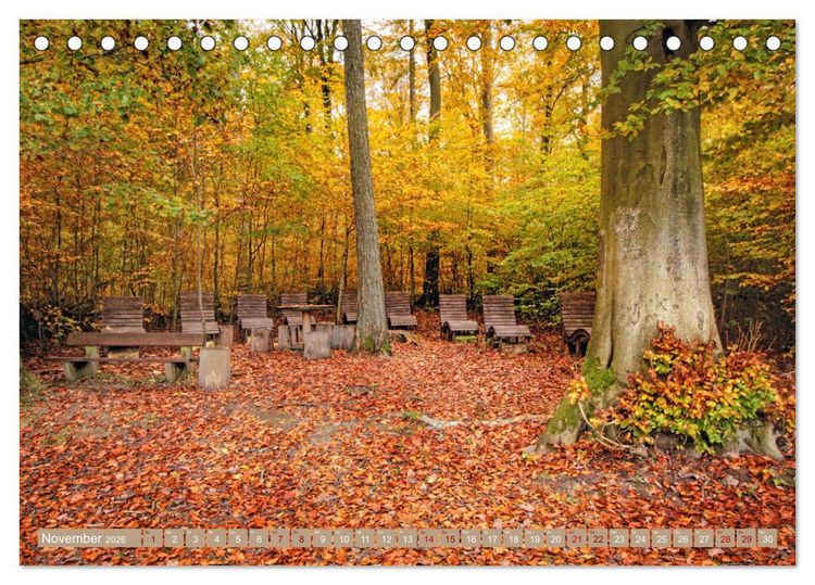 Produktbild: Der Wald - Ort der Ruhe und Besinnung (Tischkalender 2026 DIN A5 quer), CALVENDO Monatskalender