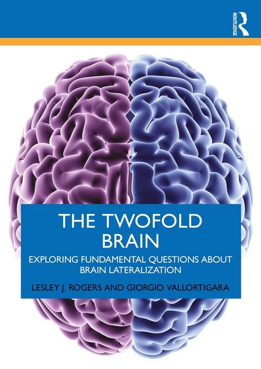 Produktbild: The Twofold Brain