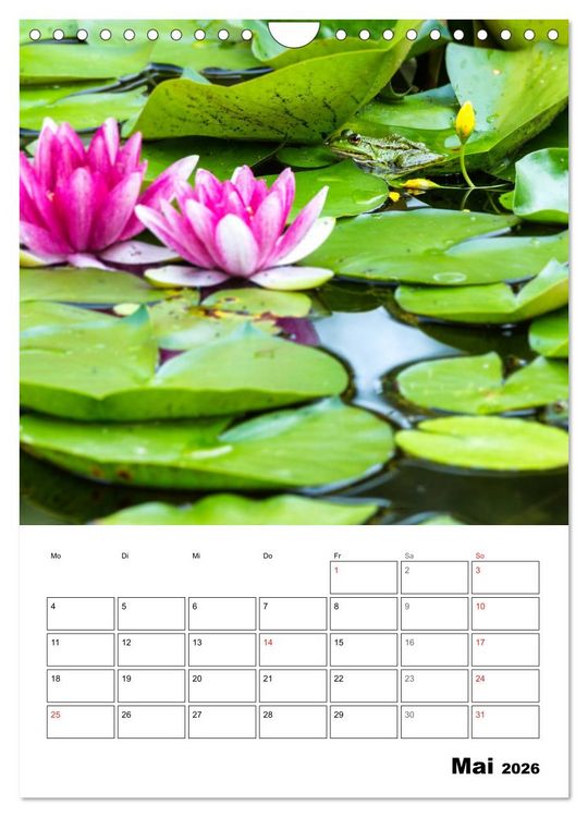 Produktbild: Farben der Natur (Wandkalender 2026 DIN A4 hoch), CALVENDO Monatskalender