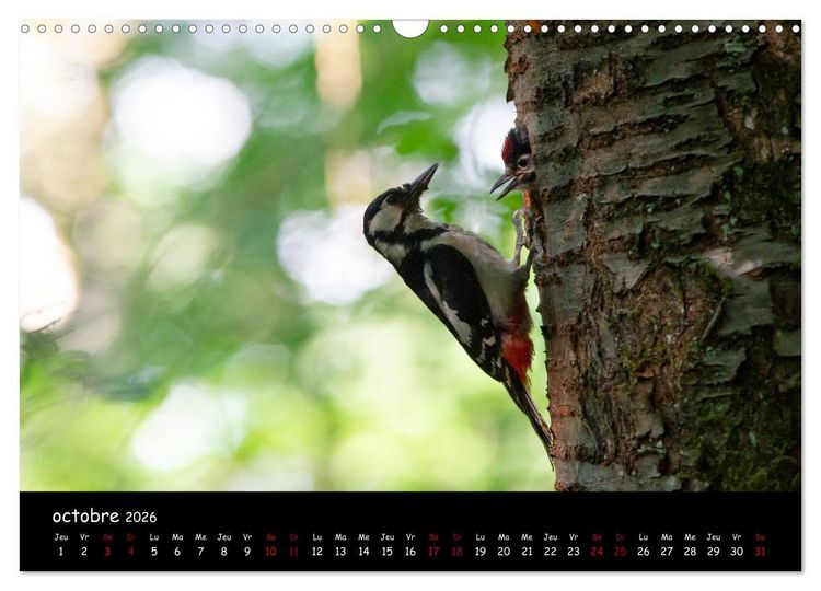 Produktbild: La nature pr&egrave;s de chez vous (Calendrier mural 2026 DIN A3 vertical), CALVENDO calendrier mensuel