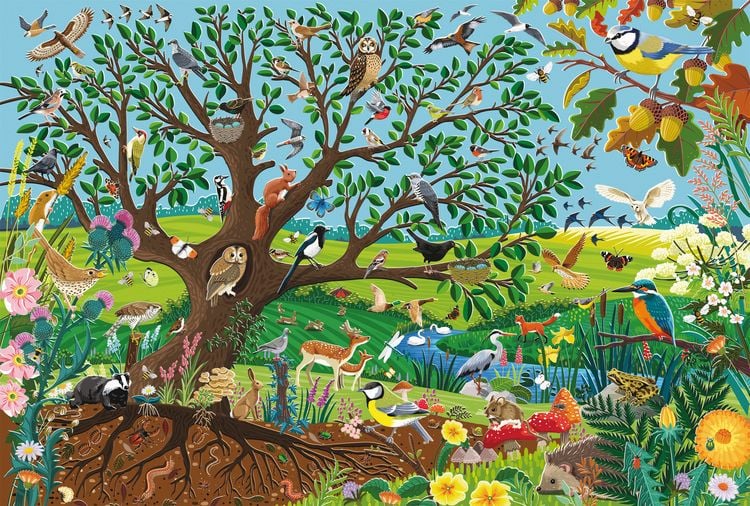 Produktbild: Tiere im Garten