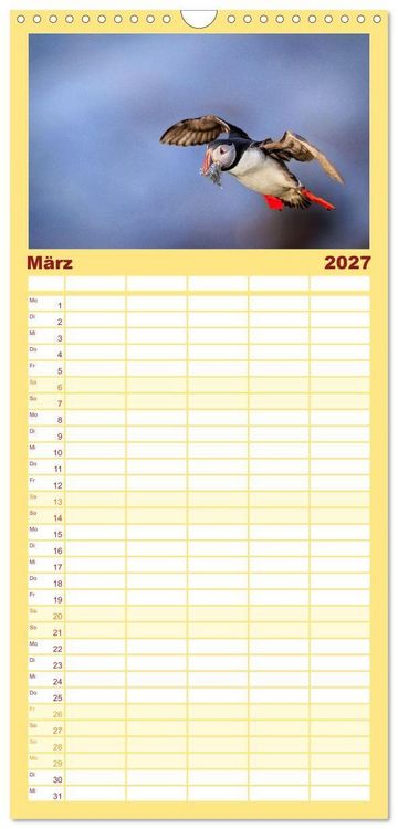 Produktbild: Familienplaner 2027 - Puffins - Papageientaucher auf Island mit 5 Spalten (Wandkalender, 21 x 45 cm) CALVENDO