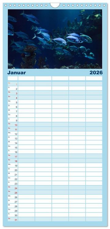 Produktbild: Familienplaner 2026 - Fische und Meerestiere mit 5 Spalten (Wandkalender, 21 x 45 cm) CALVENDO
