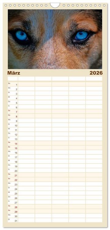 Produktbild: Familienplaner 2026 - W&ouml;lfe - sie sind wieder da mit 5 Spalten (Wandkalender, 21 x 45 cm) CALVENDO