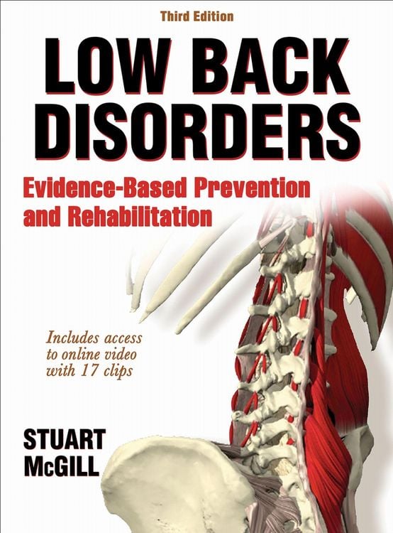 Produktbild: Low Back Disorders