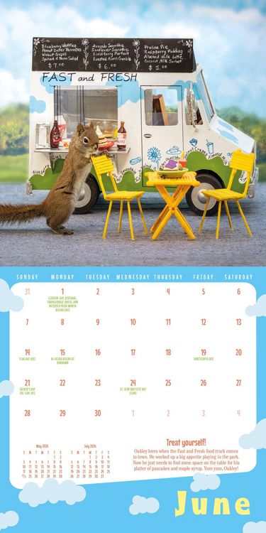 Produktbild: Secret Life of Squirrels Mini Wall Calendar 2026