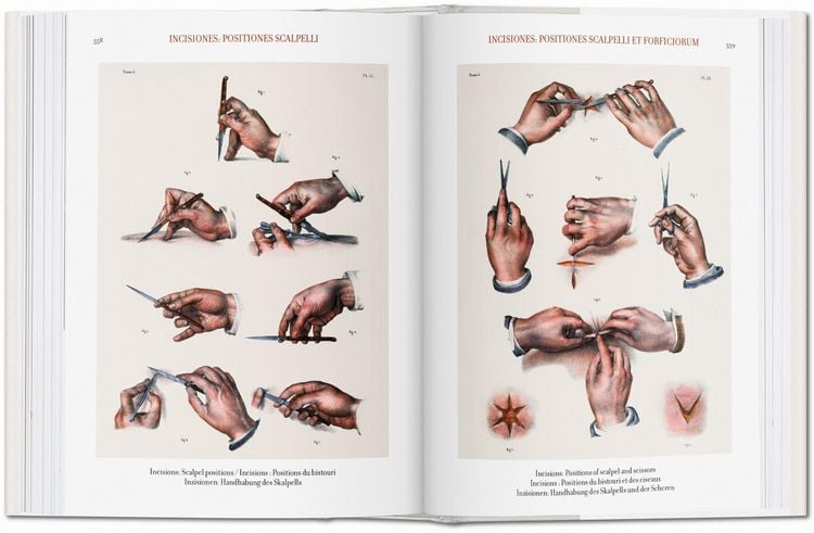Produktbild: Bourgery