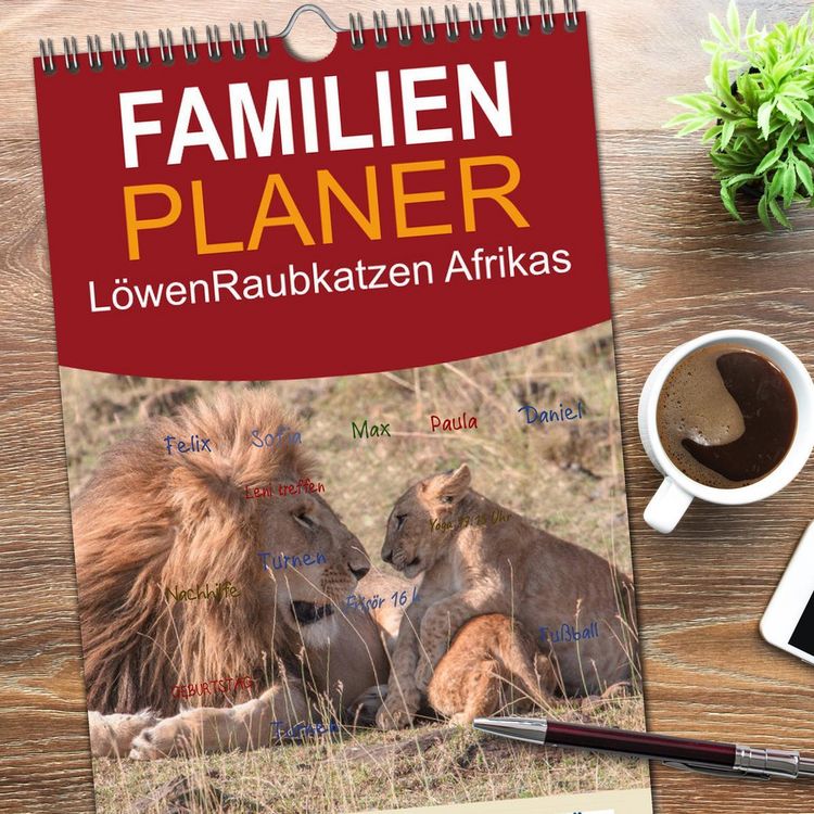 Produktbild: Familienplaner 2026 - L&ouml;wen - Raubkatzen Afrikas mit 5 Spalten (Wandkalender, 21 x 45 cm) CALVENDO
