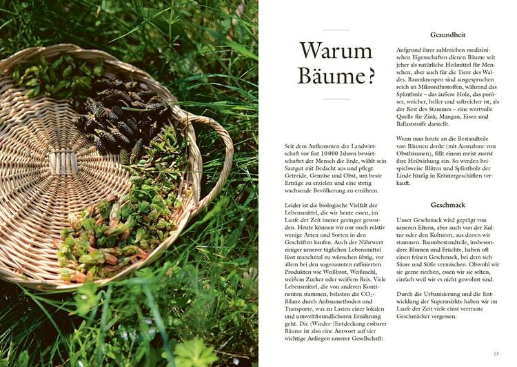 Produktbild: Wundervolle Waldk&uuml;che