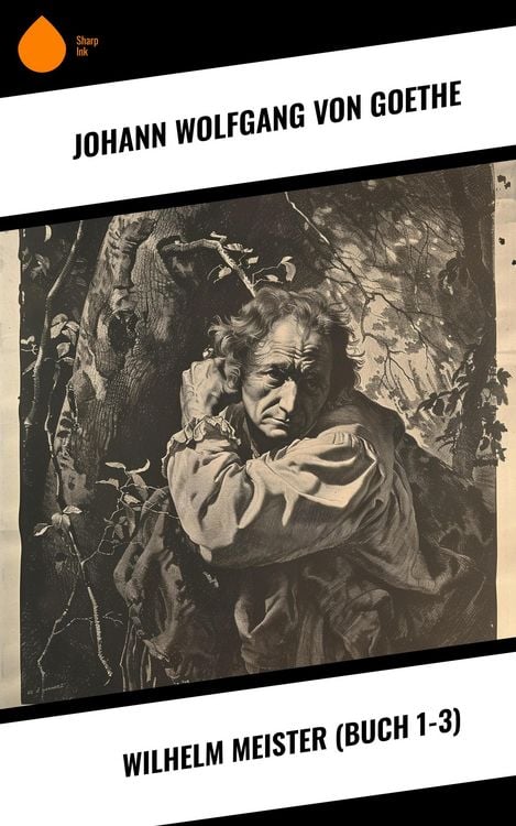Produktbild: Wilhelm Meister (Buch 1-3)