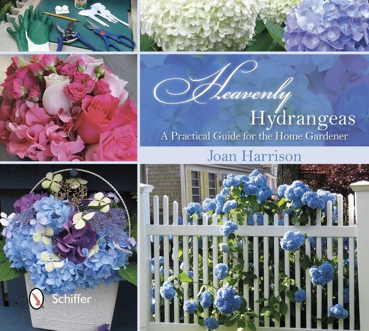Produktbild: Heavenly Hydrangeas
