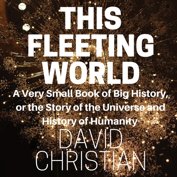 Produktbild: This Fleeting World