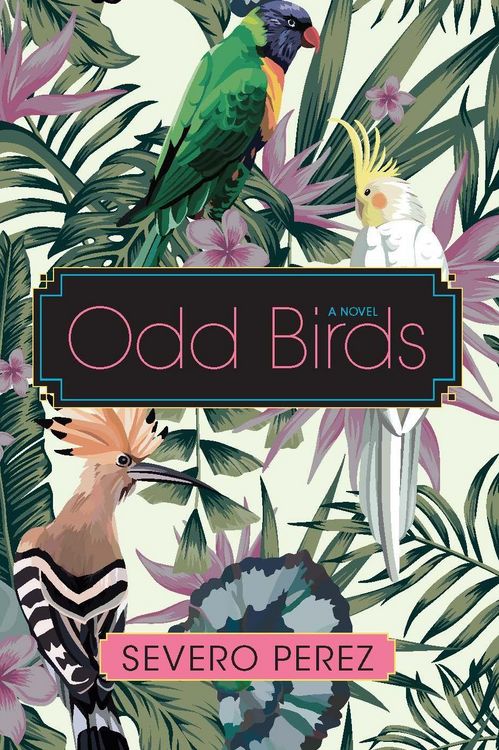 Produktbild: Odd Birds