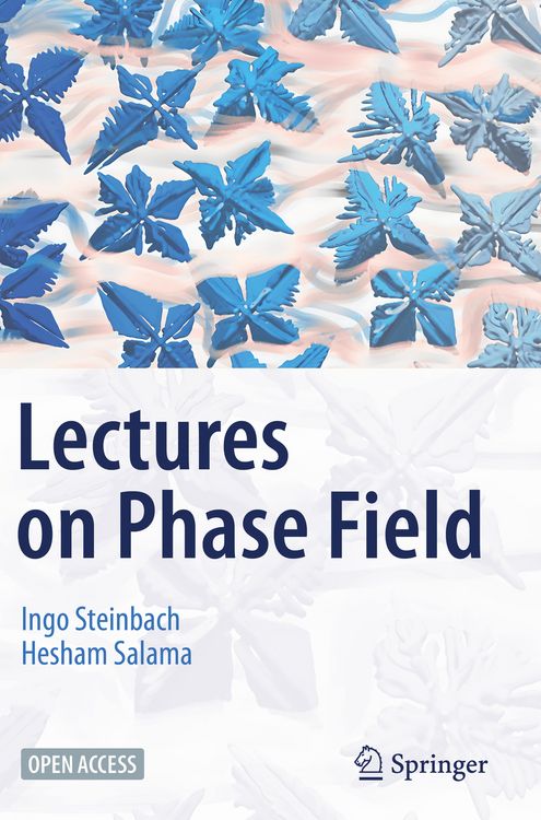 Produktbild: Lectures on Phase Field