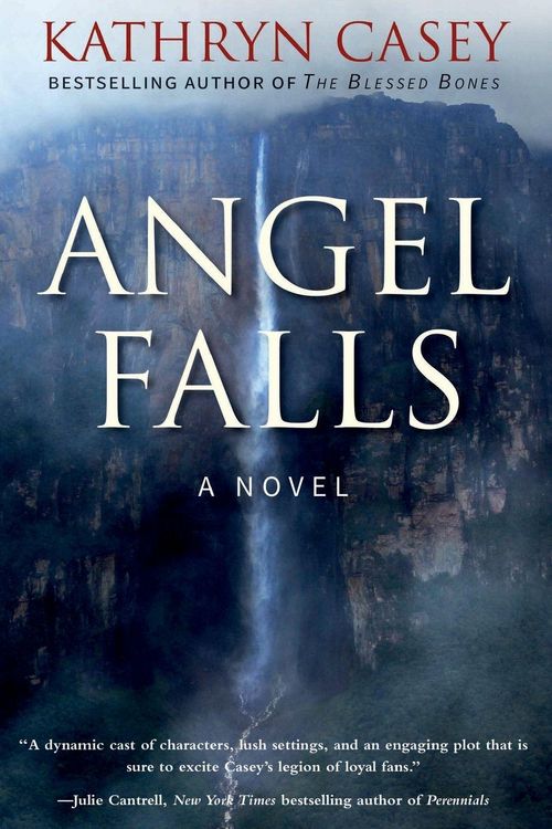 Produktbild: Angel Falls