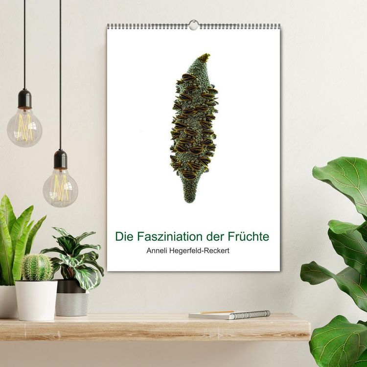 Produktbild: Die Faszination der Fr&uuml;chte (Wandkalender 2026 DIN A2 hoch), CALVENDO Monatskalender