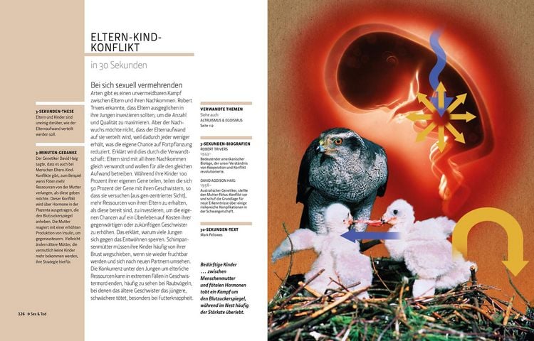 Produktbild: Die Evolution in 30 Sekunden