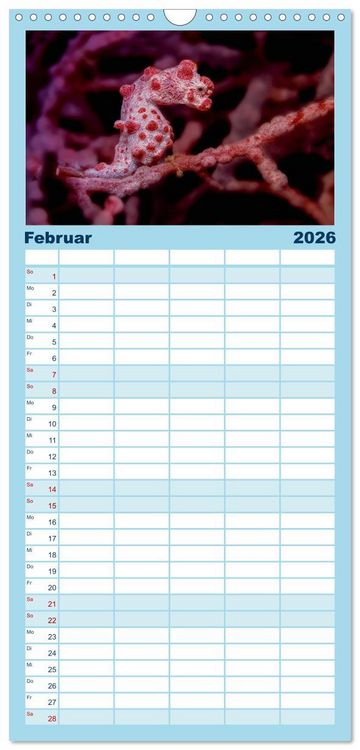 Produktbild: Familienplaner 2026 - Hippocampus oder einfach nur Seepferdchen mit 5 Spalten (Wandkalender, 21 x 45 cm) CALVENDO