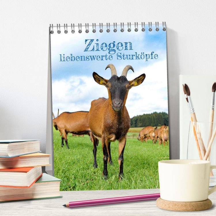 Produktbild: Ziegen - liebenswerte Sturk&ouml;pfe (Tischkalender 2026 DIN A5 hoch), CALVENDO Monatskalender