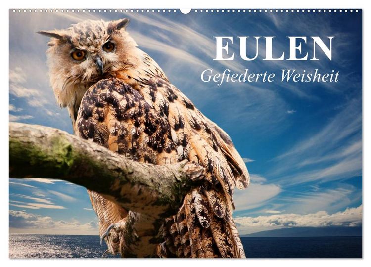 Produktbild: Eulen. Gefiederte Weisheit (Wandkalender 2026 DIN A2 quer), CALVENDO Monatskalender