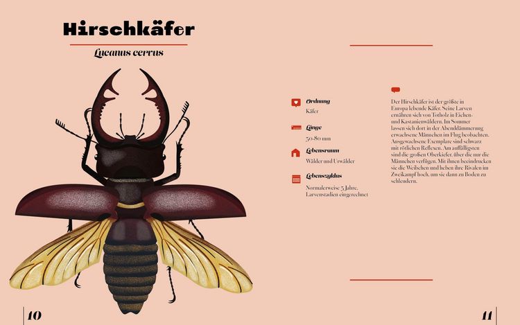 Produktbild: Insekten & Krabbeltiere