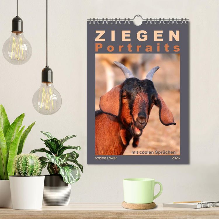 Produktbild: Ziegenportraits (Wandkalender 2026 DIN A4 hoch), CALVENDO Monatskalender