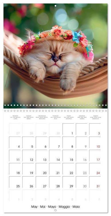 Produktbild: KITTEN Cuteness overload (Wall Calendar 2026 12 &times; 12 Inch) CALVENDO 12 Month Wall Calendar